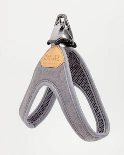 Buckle Up Easy Dog Harness in Gray