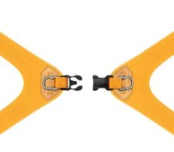 Buckle Up Easy Dog Harness in Gray