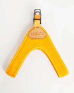 Buckle Up Easy Dog Harness in Yellow