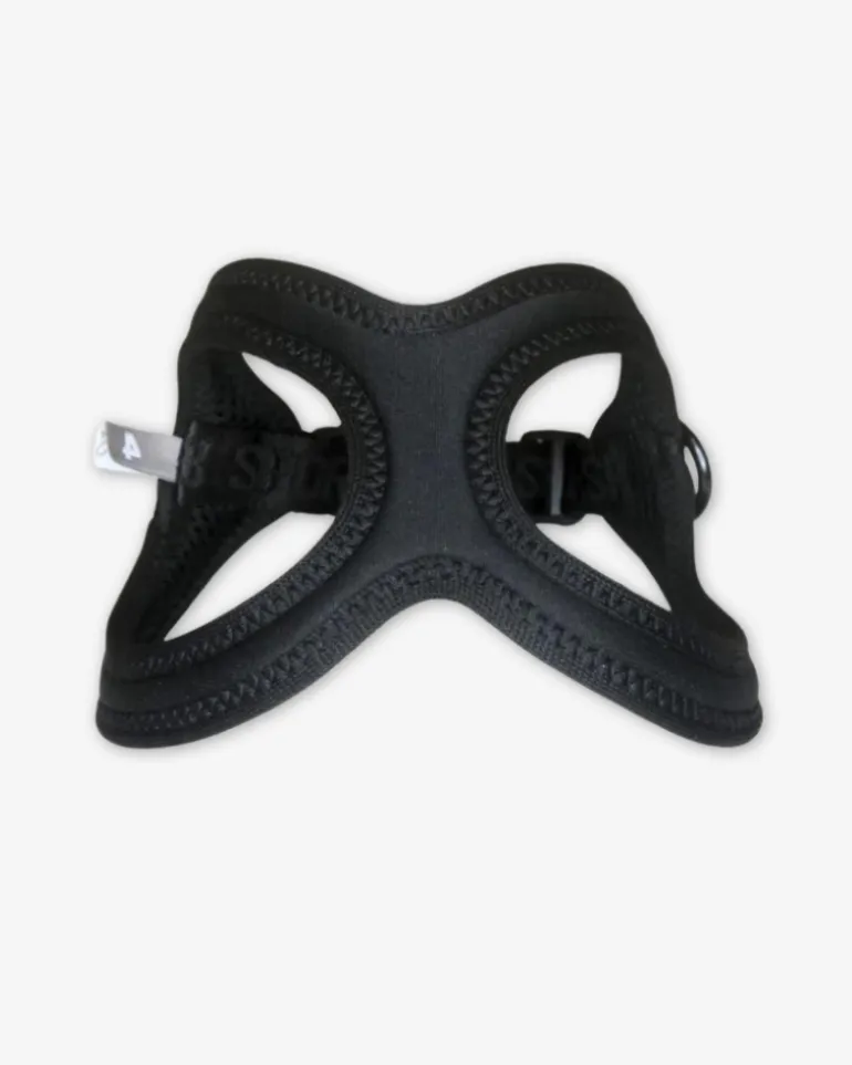 Buddy Belt Sport Harness for Dogs in Black