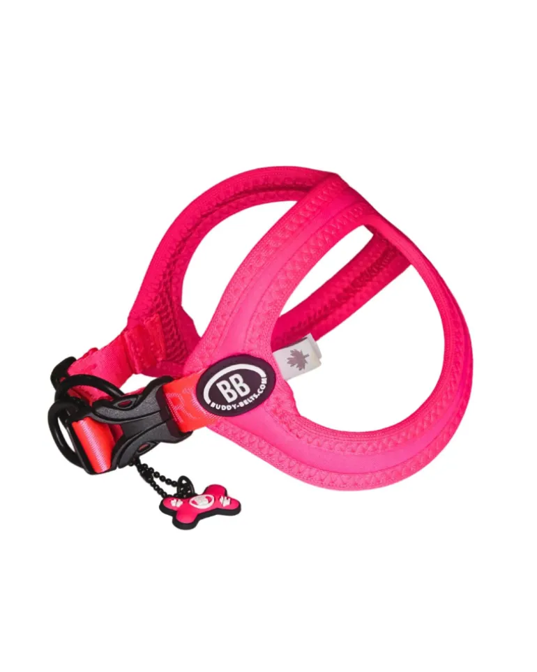 Buddy Belt Sport Harness for Dogs in Neon Pink