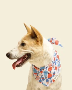 Buoy Dog Bandana