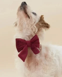 Burgundy Velvet Sailor Dog Bow Tie