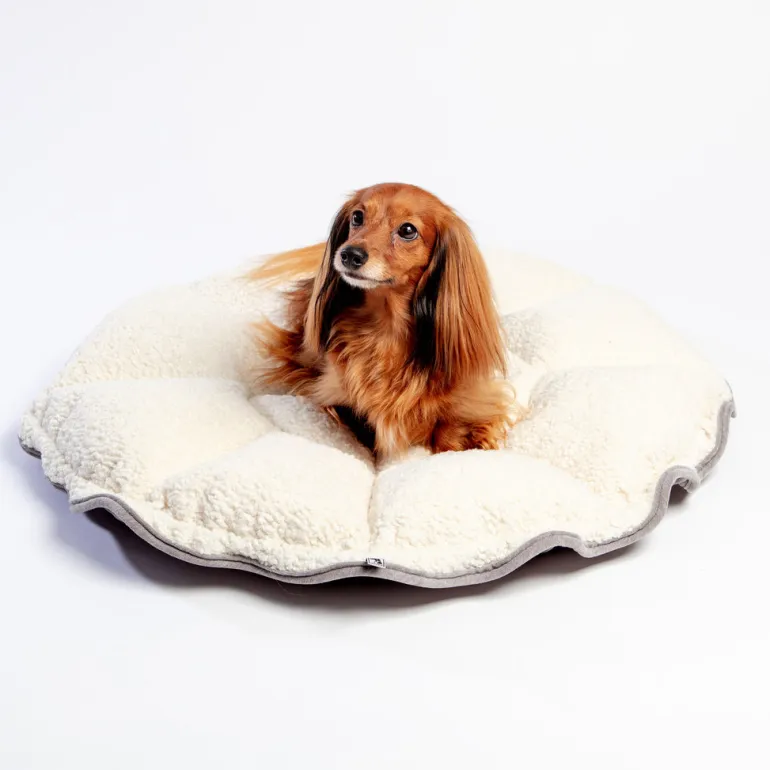 Buttercup Bed (Direct-Ship)