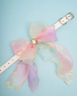 Butterfly Bowtie Collar for Dog