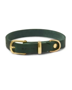 Butter Leather Dog Collar in Forest Green (Made in Austria)