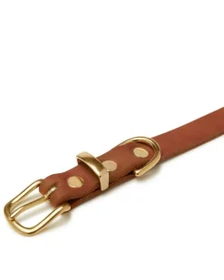 Butter Leather Dog Collar in Sahara Cognac (Made in Austria)