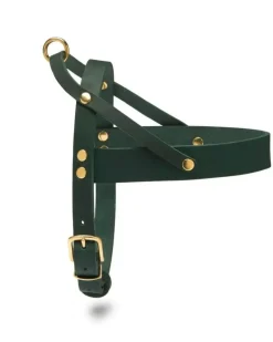 Butter Leather Dog Harness in Forest Green (Made in Austria)