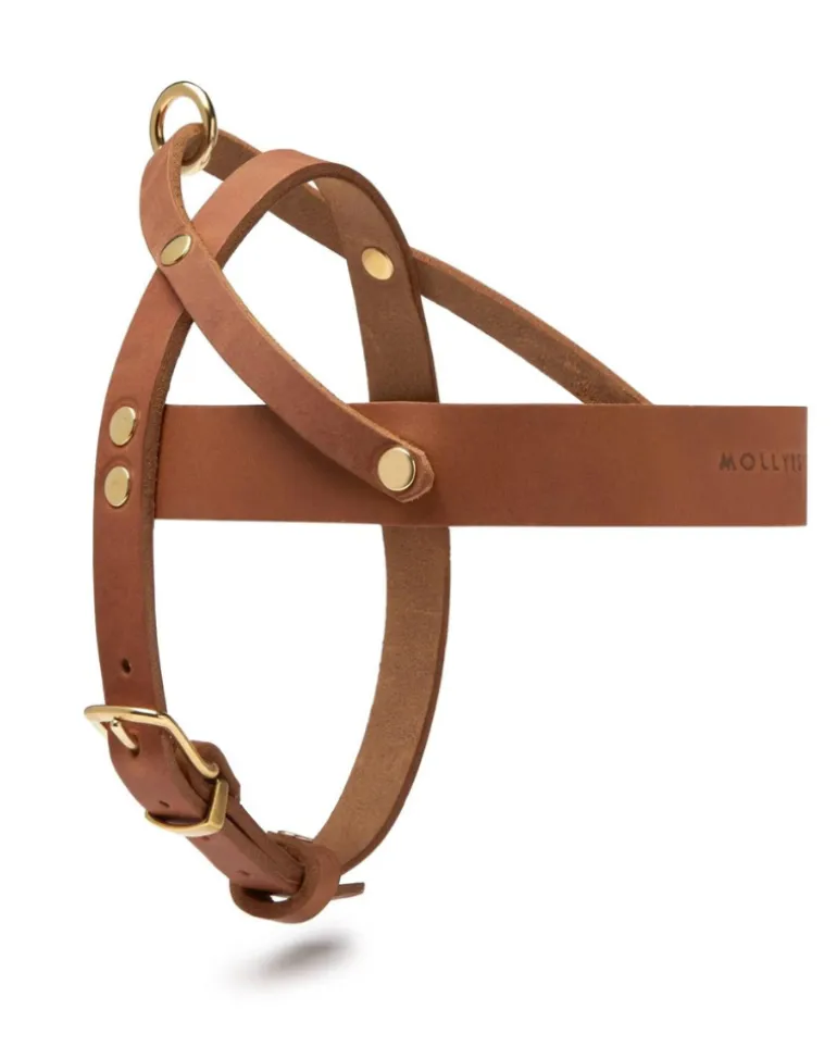 Butter Leather Dog Harness in Sahara Cognac (Made in Austria)