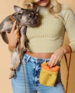 Butter Leather Dog Leash in Sahara Cognac (Made in Austria)