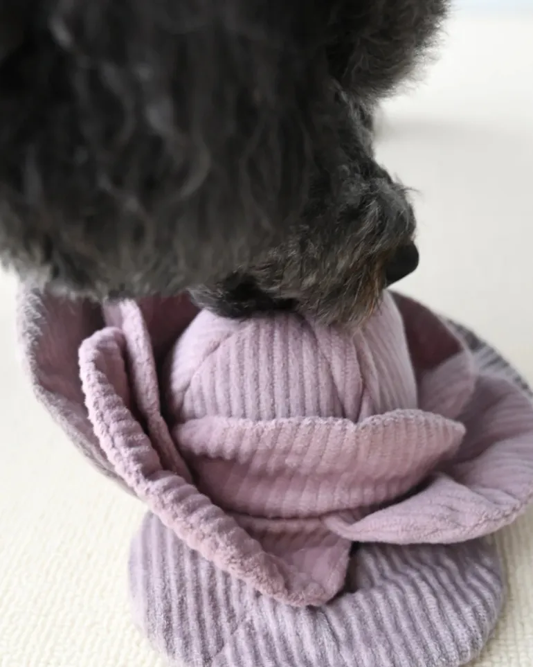 Cabbage Snuffle + Pop Plush Toy for Dogs