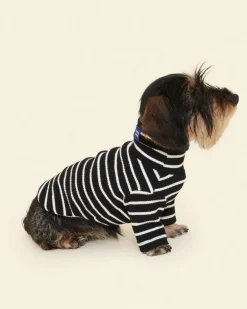Cafe in Paris Dog Shirt