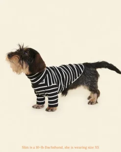 Cafe in Paris Dog Shirt