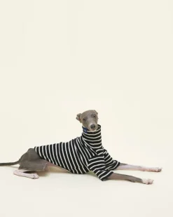 Cafe in Paris Dog Shirt