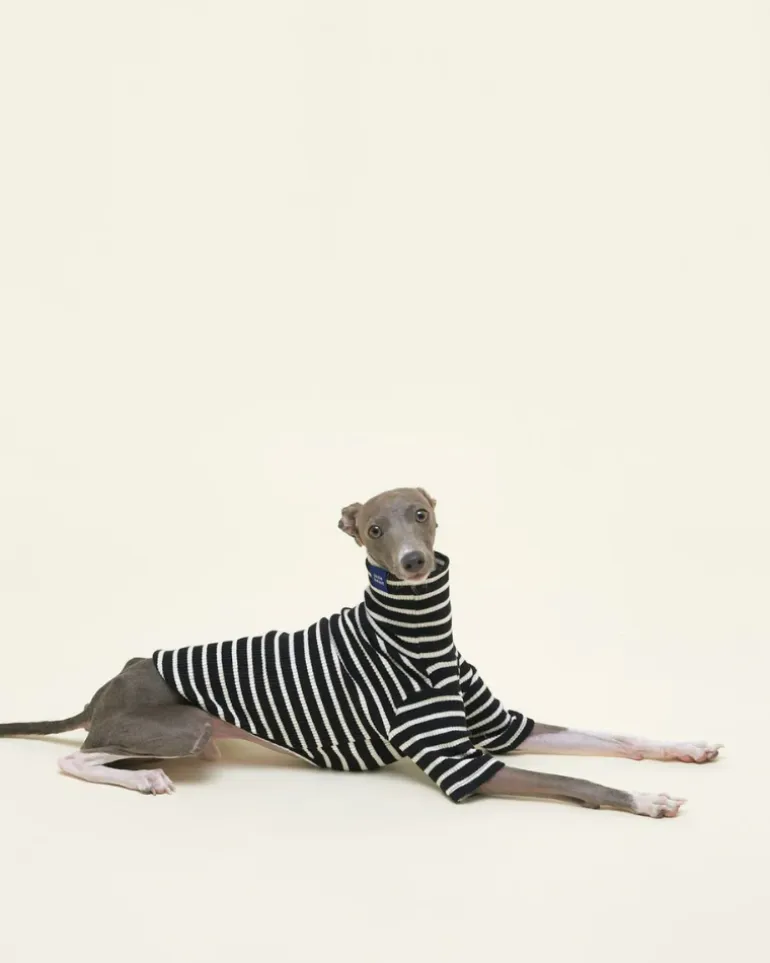 Cafe in Paris Dog Shirt