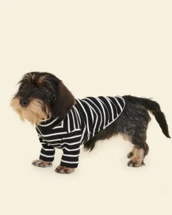 Cafe in Paris Dog Shirt