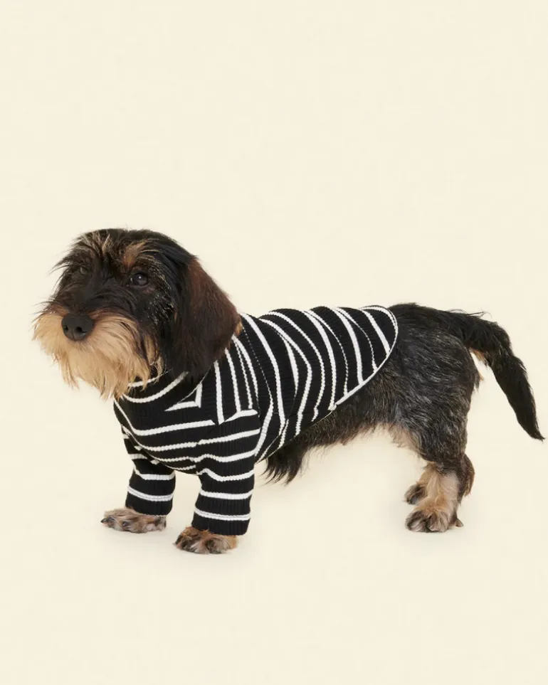 Cafe in Paris Dog Shirt