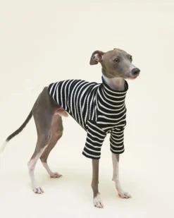 Cafe in Paris Dog Shirt