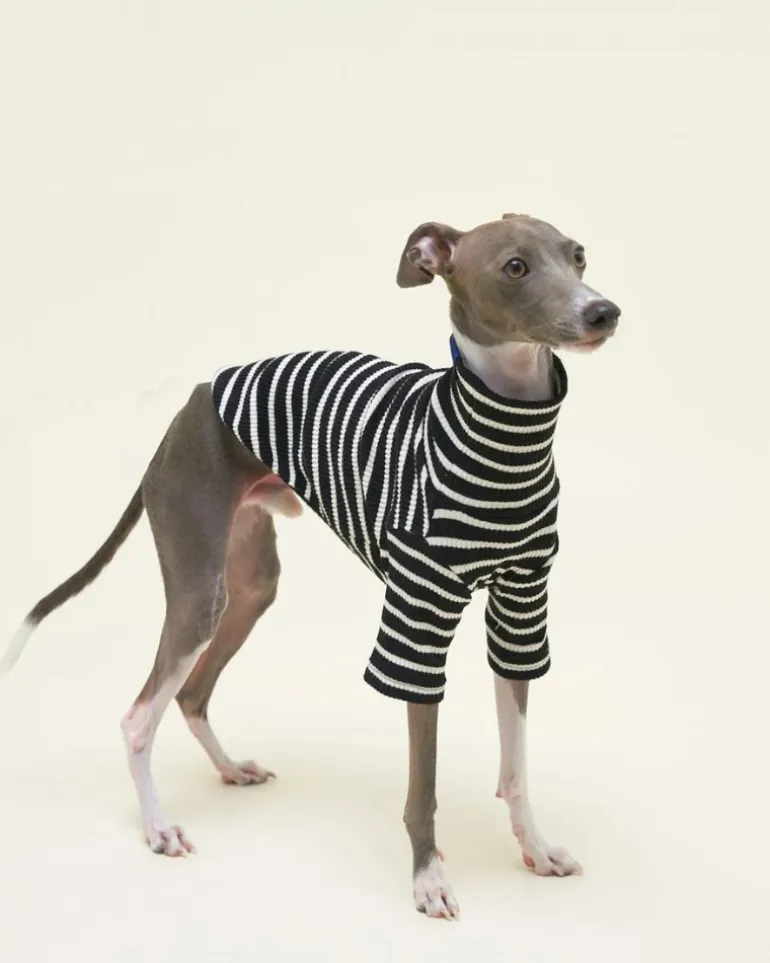 Cafe in Paris Dog Shirt