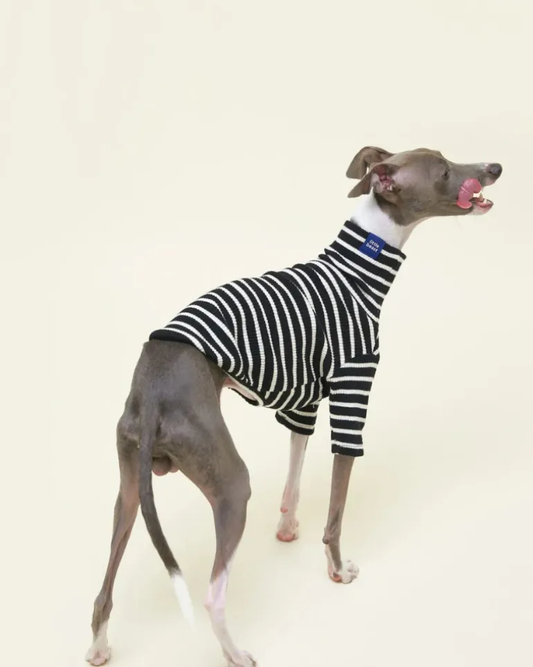 Cafe in Paris Dog Shirt