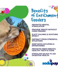 Camp Enrichment Lick Mat with Suction Cups (Made in the USA)
