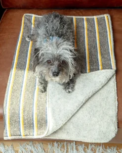 Campus Stripe Dog Blanket (Made in the USA)