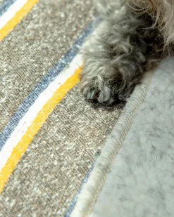 Campus Stripe Dog Blanket (Made in the USA)
