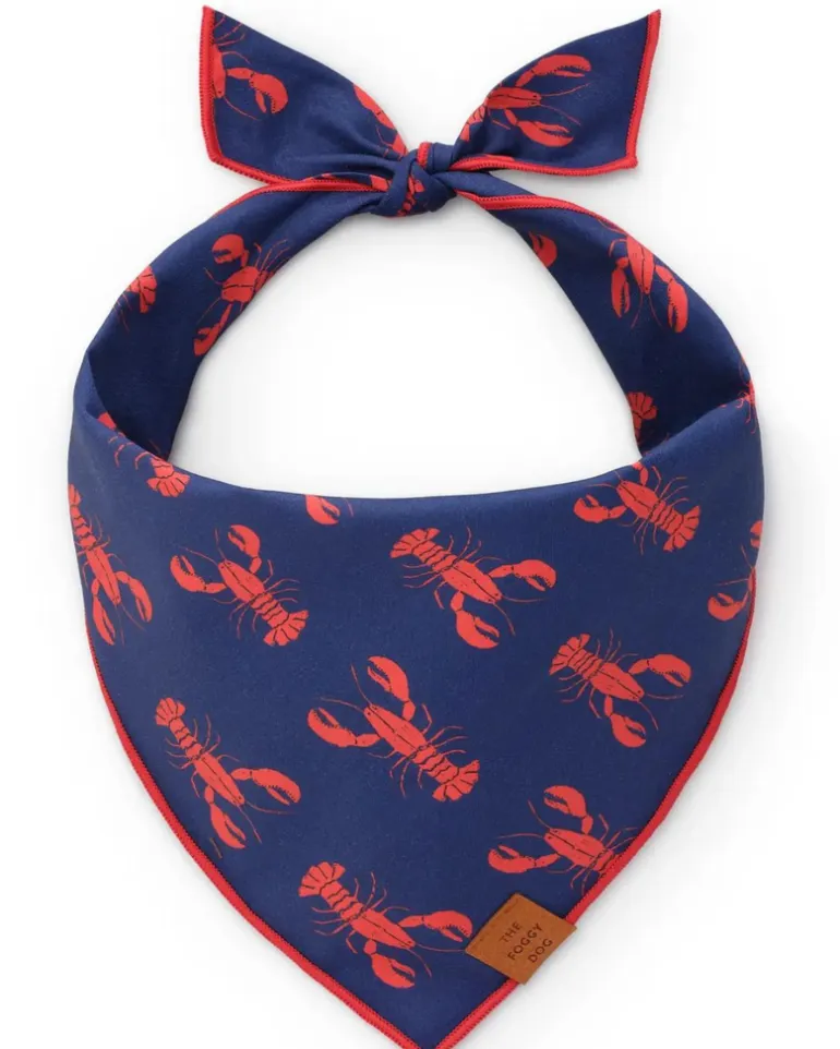 Catch of the Day Navy Dog Bandana (Made in the USA)