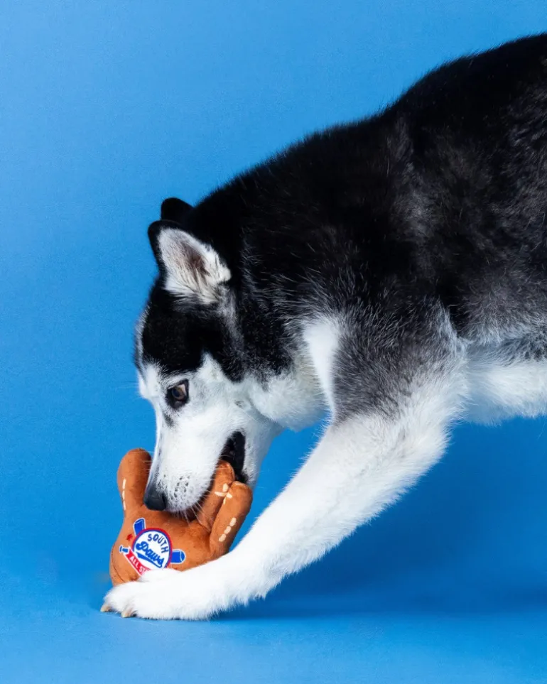Catch, You're Out! Plush Squeaky Dog Toy