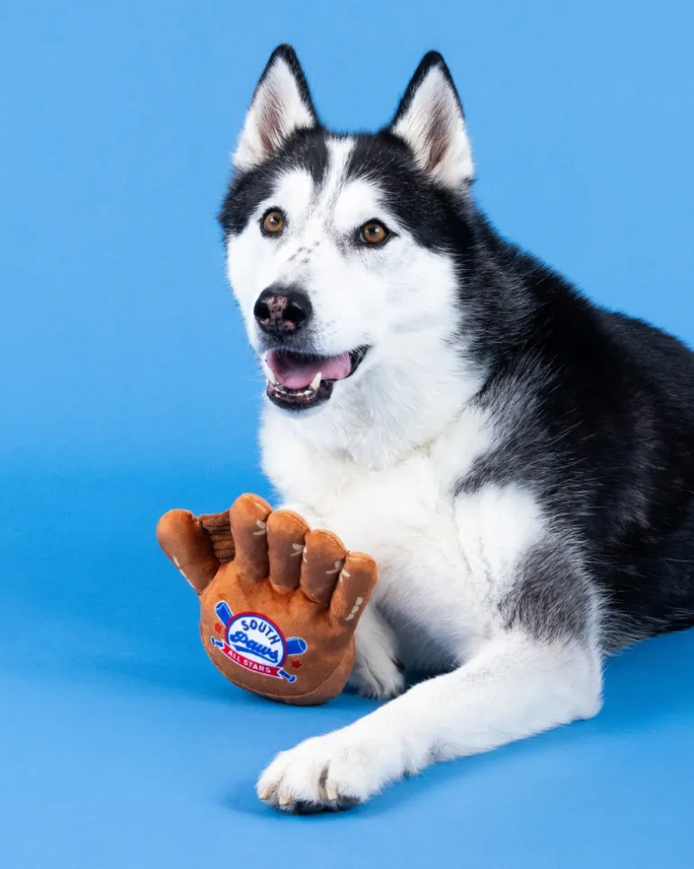 Catch, You're Out! Plush Squeaky Dog Toy