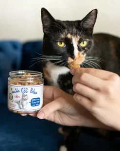CBD Chicken & Tuna Cat Treats (1/2mg)
