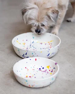 Ceramic Pet Bowl in Confetti (Made in the USA)
