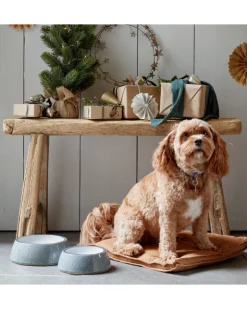 Ceramic Pet Bowl in Kiln White (Made in England)