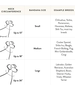 Champagne & Caviar Dog Bandana (Made in the USA)