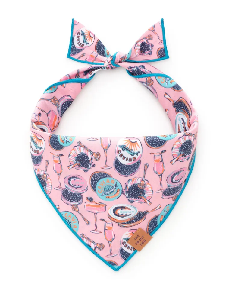 Champagne & Caviar Dog Bandana (Made in the USA)
