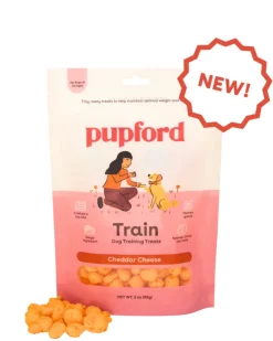 Cheddar Cheese Training Dog Treats