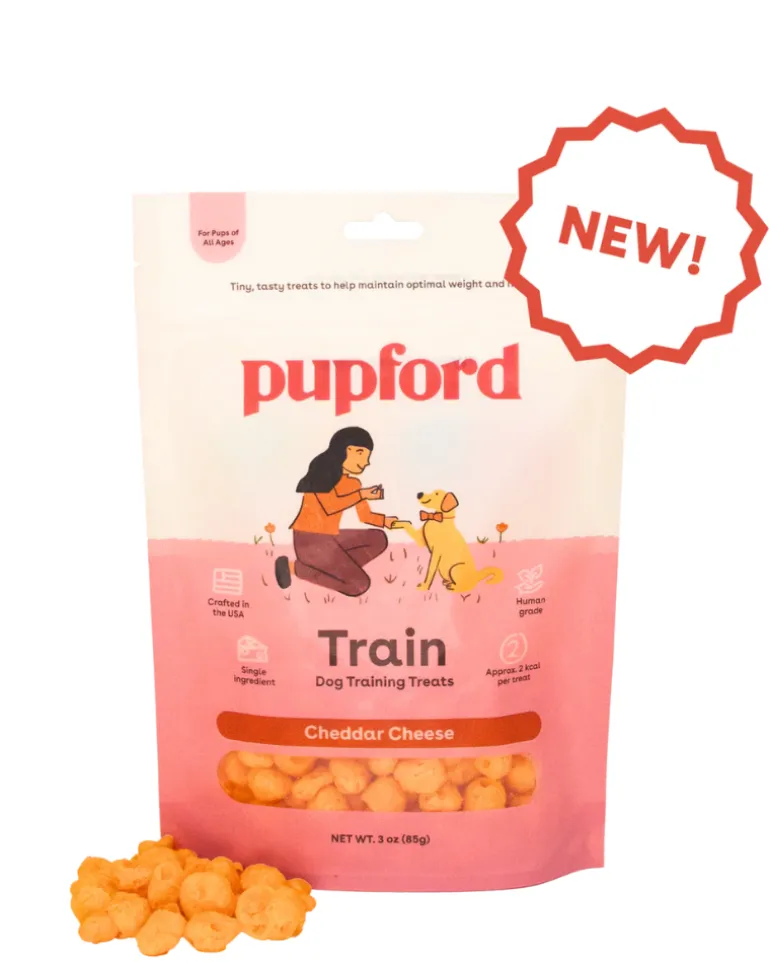 Cheddar Cheese Training Dog Treats