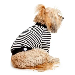 Cheeky Stripe Pullover in Black & White with Black Trim