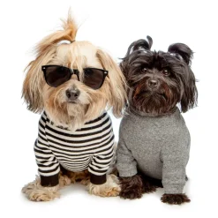 Cheeky Stripe Pullover in Black & White with Black Trim