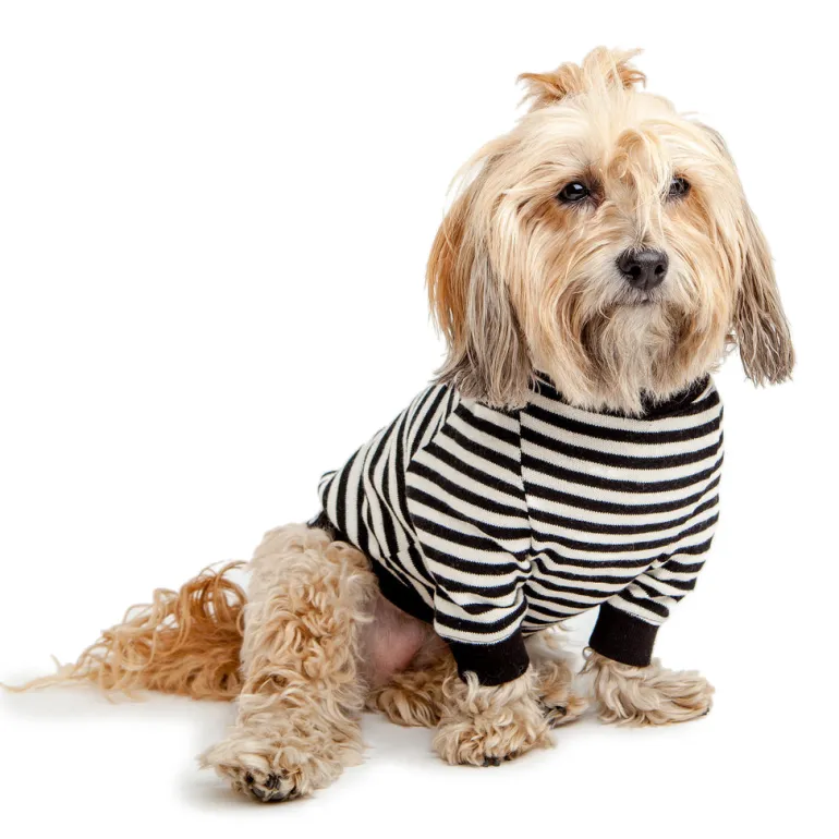 Cheeky Stripe Pullover in Black & White with Black Trim