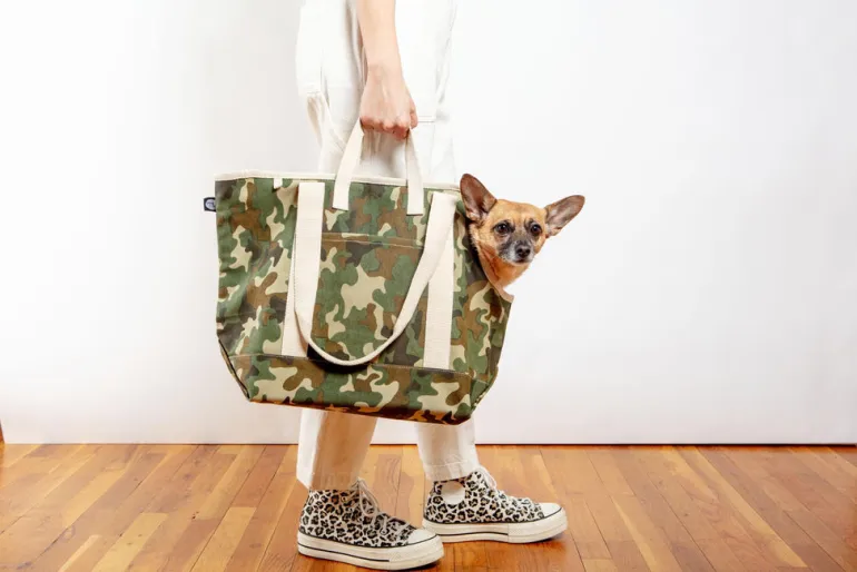 City Carrier Dog Bag in Size 1