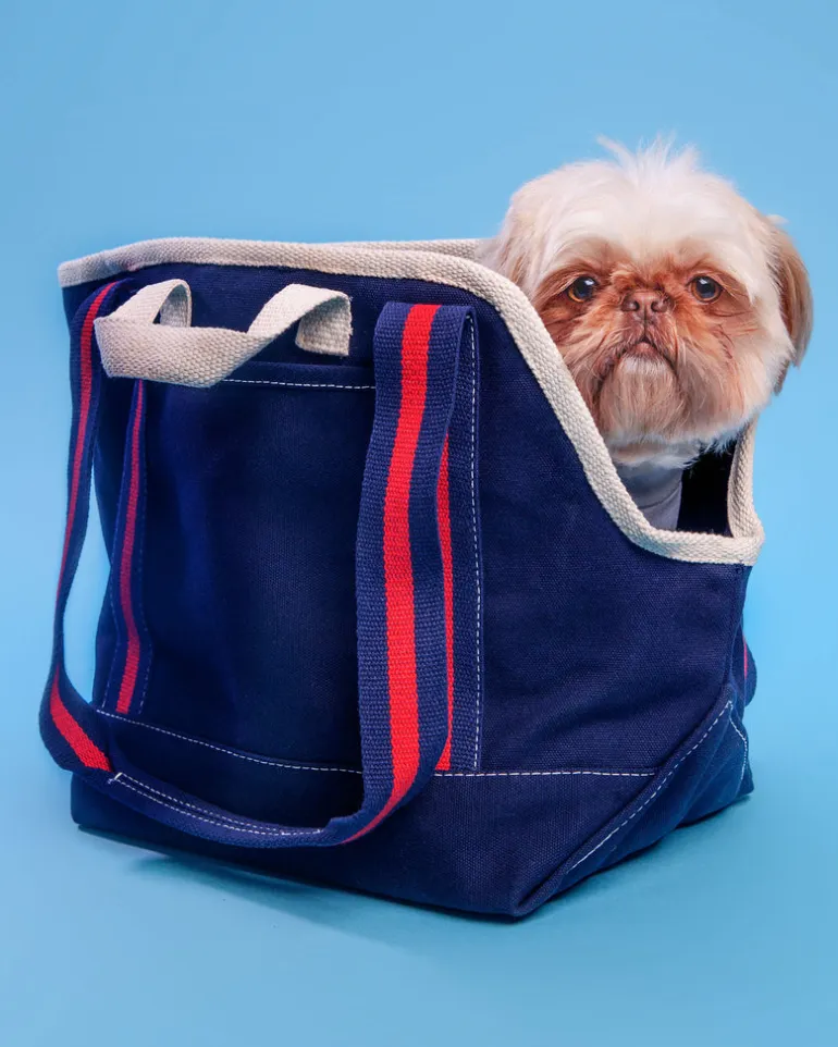 City Carrier Dog Bag in Size 1