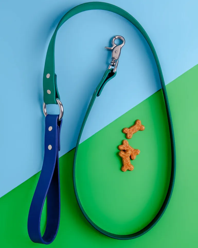 City Leash in Hunter Green & Navy (4 or 6 Foot) (Made in the USA)