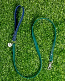 City Leash in Hunter Green & Navy (4 or 6 Foot) (Made in the USA)
