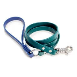 City Leash in Hunter Green & Navy (4 or 6 Foot) (Made in the USA)