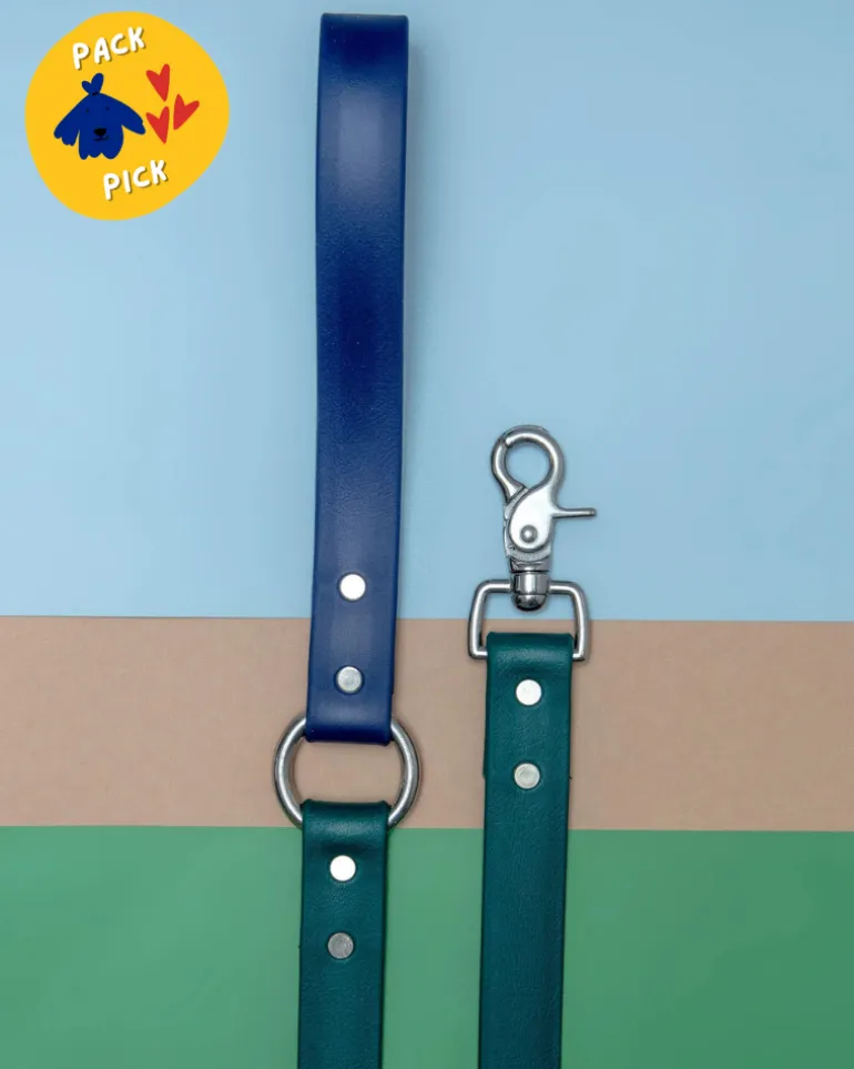 City Leash in Hunter Green & Navy (4 or 6 Foot) (Made in the USA)