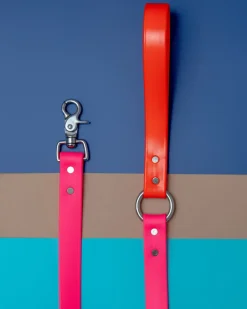 City Leash in Neon Pink & Neon Orange (4 or 6 Foot) (Made in the USA)