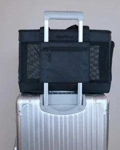 City to Sky Pet Travel Carrier