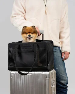 City to Sky Pet Travel Carrier