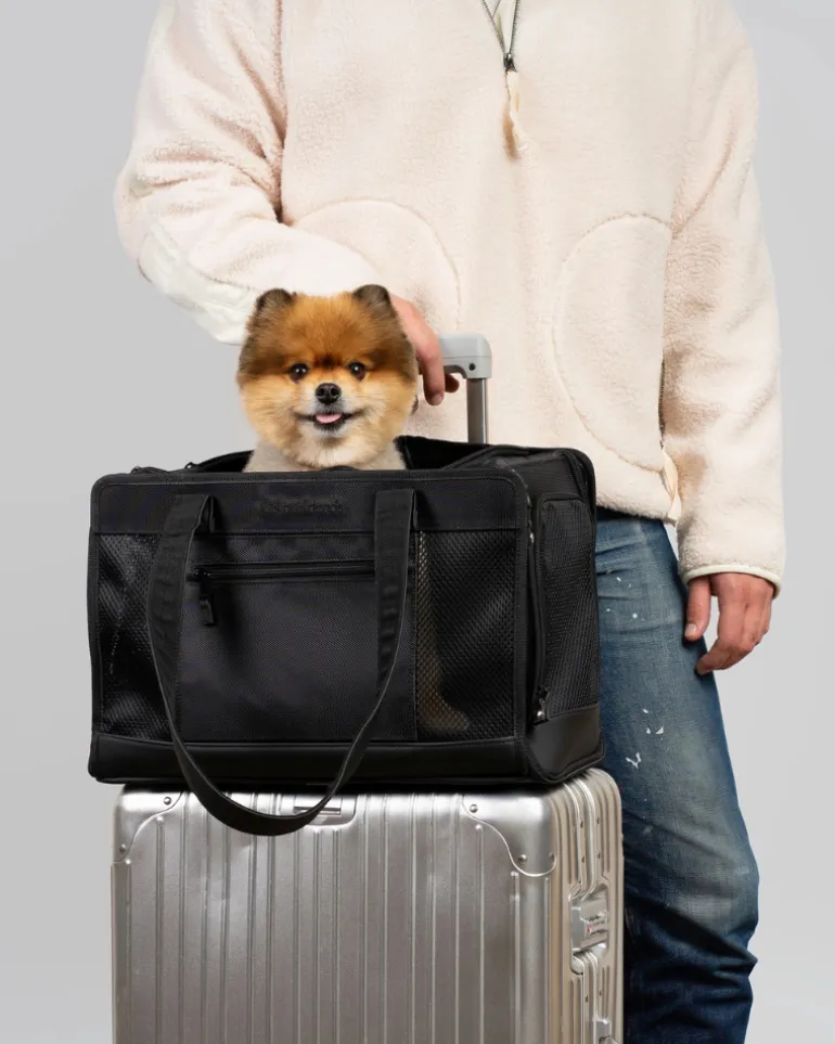 City to Sky Pet Travel Carrier